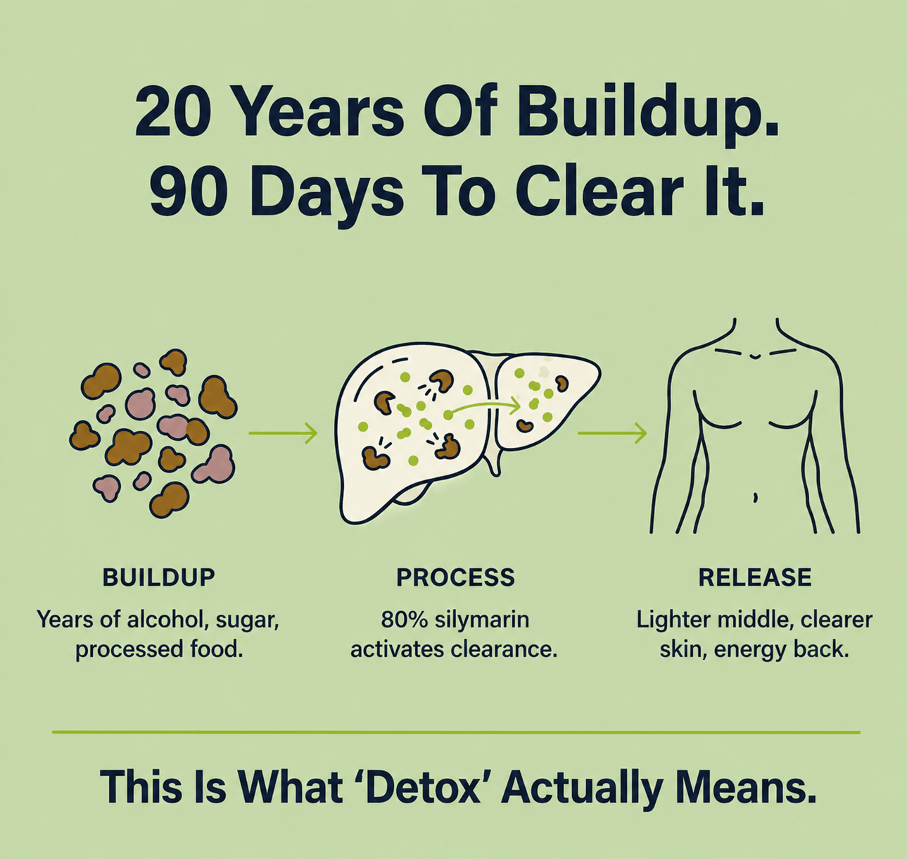Milk Thistle Daily Liver Support - 80% Silymarin