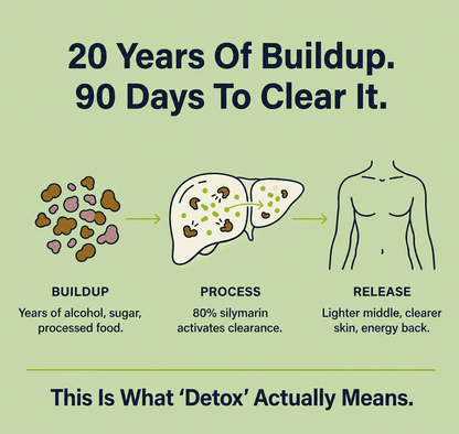 Milk Thistle Daily Liver Support - 80% Silymarin